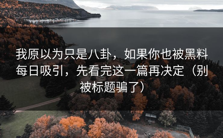 我原以为只是八卦，如果你也被黑料每日吸引，先看完这一篇再决定（别被标题骗了）