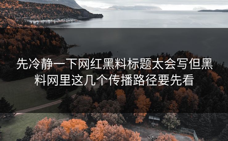 先冷静一下网红黑料标题太会写但黑料网里这几个传播路径要先看