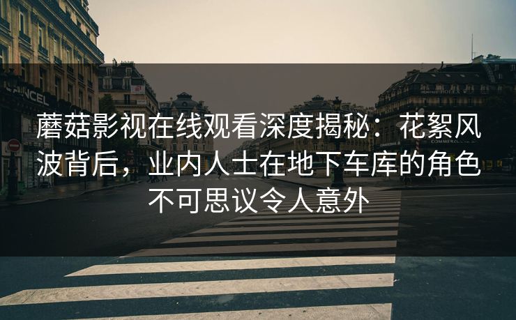 蘑菇影视在线观看深度揭秘：花絮风波背后，业内人士在地下车库的角色不可思议令人意外