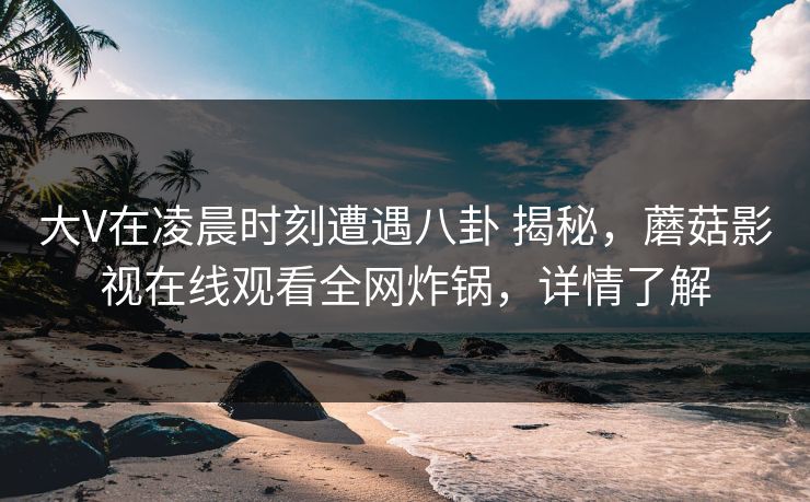 大V在凌晨时刻遭遇八卦 揭秘，蘑菇影视在线观看全网炸锅，详情了解